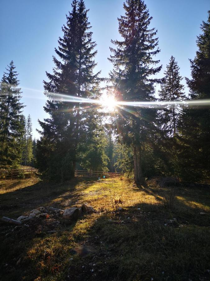 Snowhite Jahorina Villa Exterior foto
