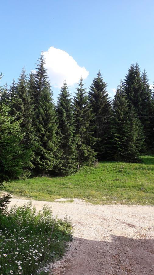 Snowhite Jahorina Villa Exterior foto