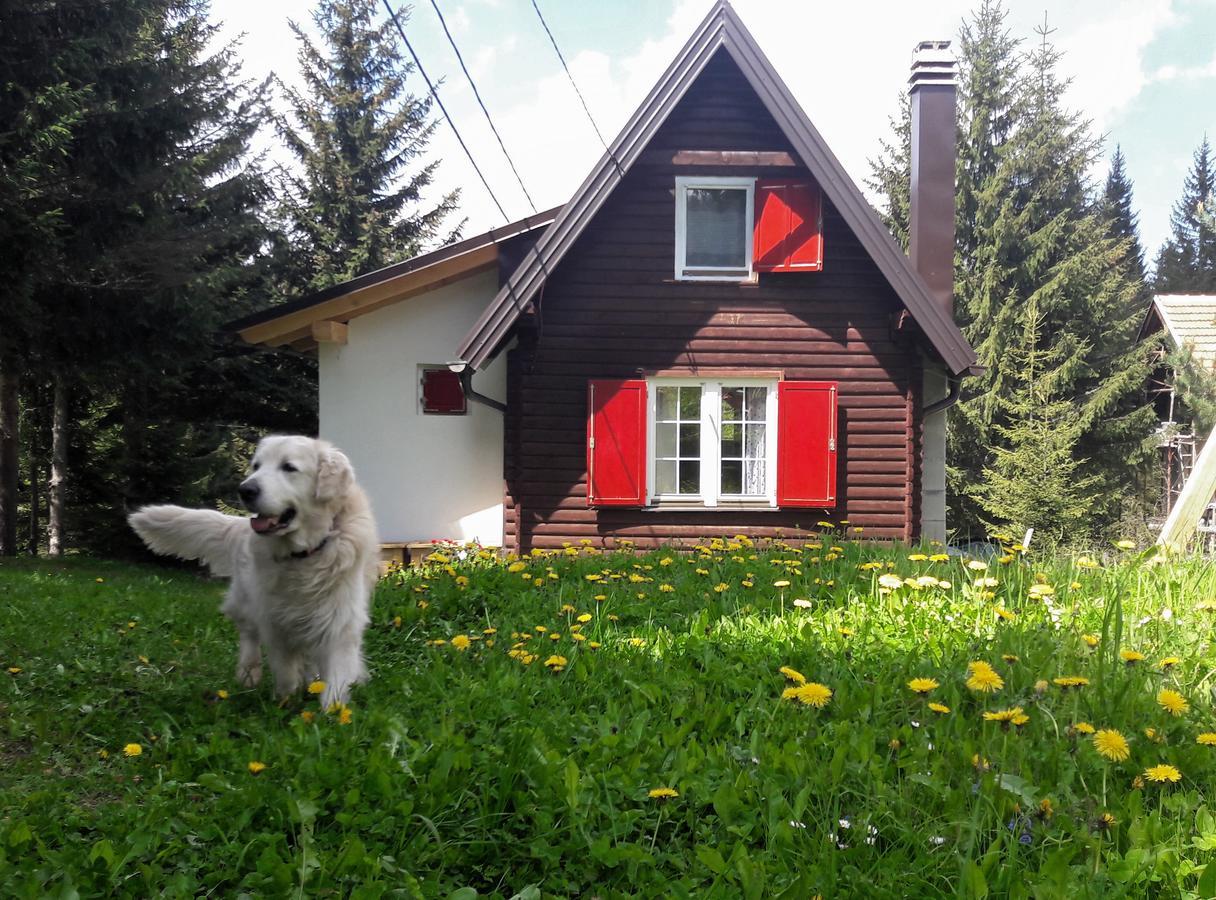Snowhite Jahorina Villa Exterior foto